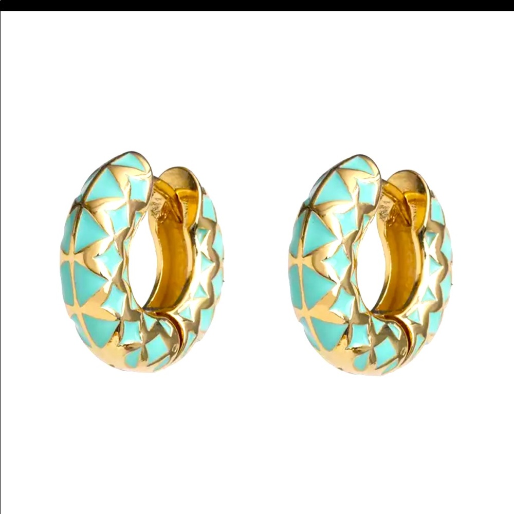 Earrings 🌈
